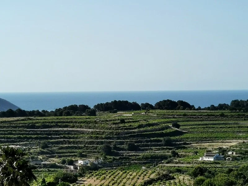 Finca in Teulada – foto 44