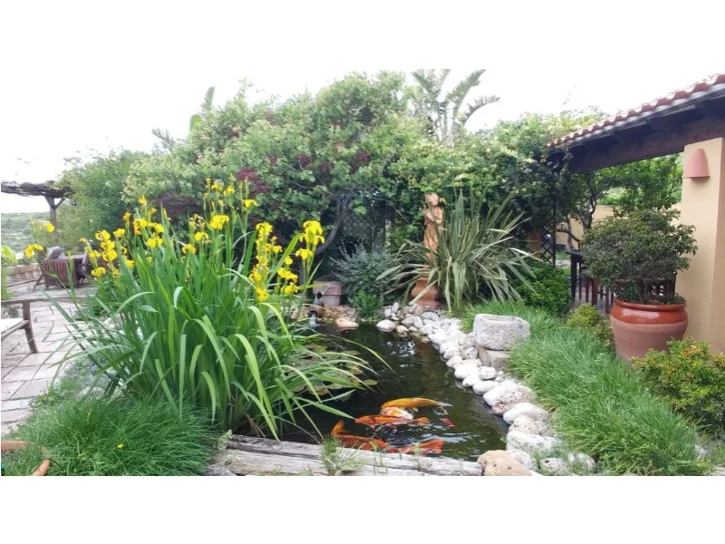 Finca in Teulada – foto 58