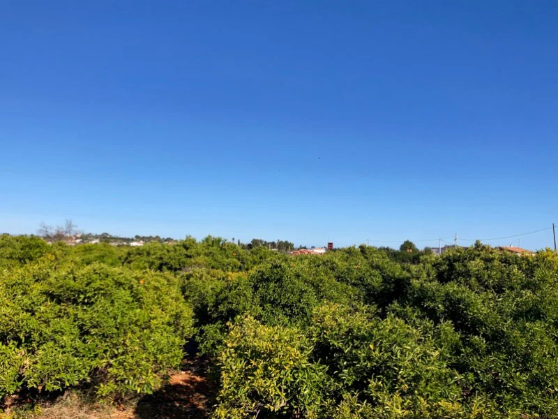 Perceel in La Xara – foto 1