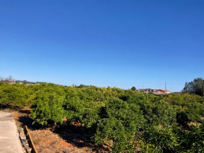 Perceel in La Xara – foto 7