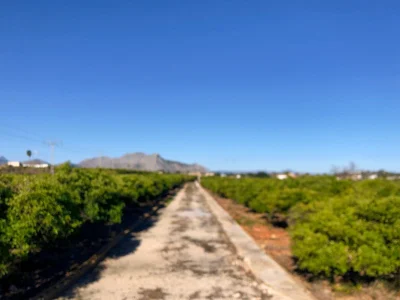 Perceel in La Xara – foto 11