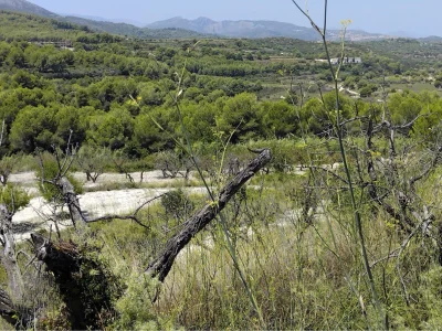 Perceel in Partides comunes – foto 4