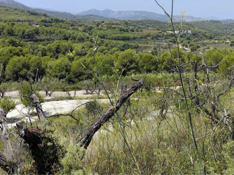 Perceel in Partides comunes – foto 4