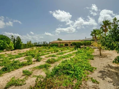 Villa in Cala Advocat – foto 33