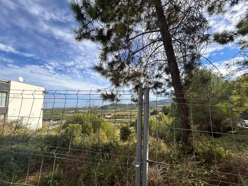 Perceel in Ador – foto 6