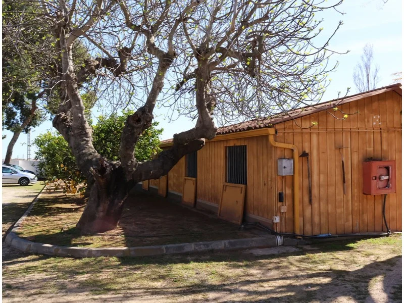 Perceel in Los Pinares – foto 30
