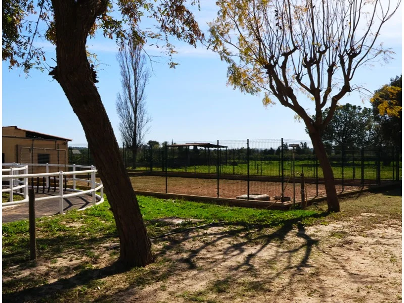 Perceel in Los Pinares – foto 31