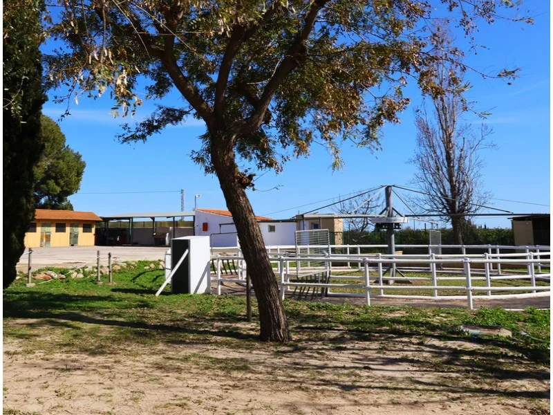 Perceel in Los Pinares – foto 32