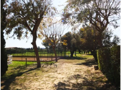 Perceel in Los Pinares – foto 37