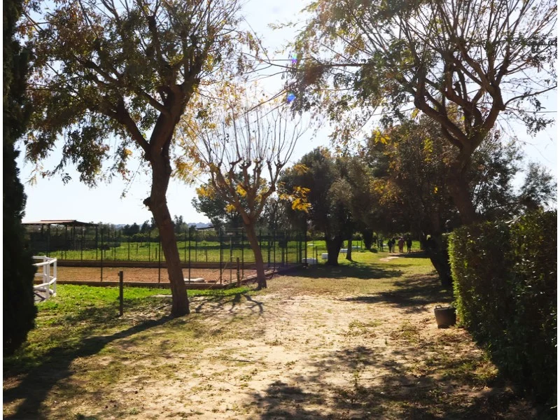 Perceel in Los Pinares – foto 37
