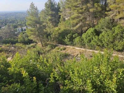 Perceel in Pedreguer – foto 3