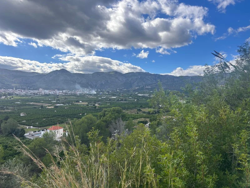Perceel in Pego – foto 1