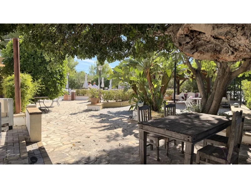 Restaurant in Montgó – foto 13