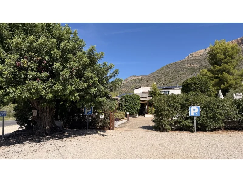 Restaurant in Montgó – foto 49